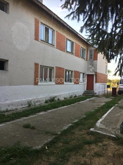 FERMA DE VANZARE! Pomi fructiferi, Bals, Jud Olt - 4