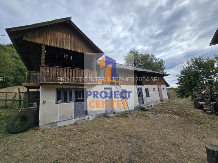 Casa si teren 5.000 mp, Stroesti - 10