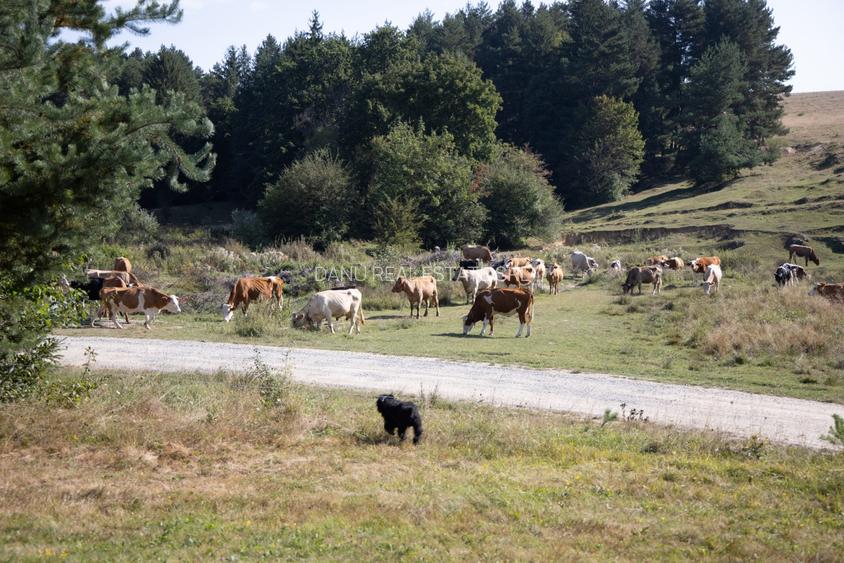 Teren intravilan 6800 mp, zona Lacuri Vulcan, Brașov - 13
