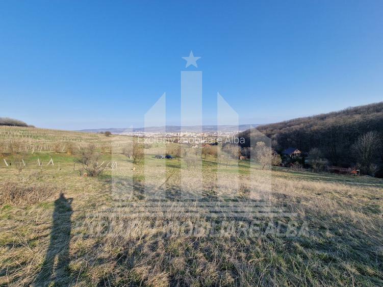 Teren intravilan | De vanzare | 1808 mp | 18 ml deschidere | Seigau - 5