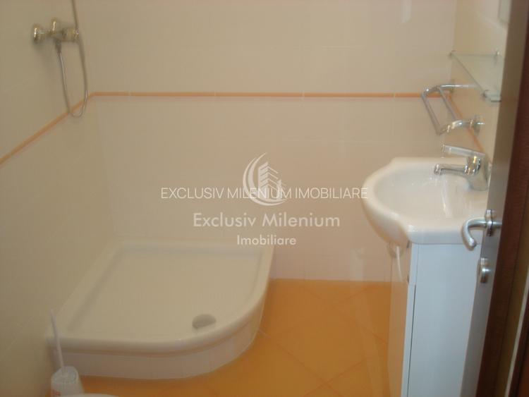 Spatiu Birouri la casa Tei-Barcu Vacarescu - 11