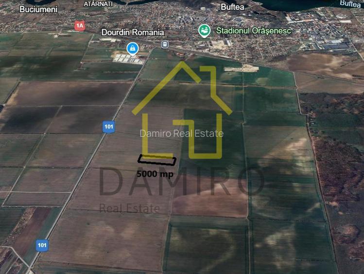 Teren Intravilan 5000 mp Buftea Tamasi - 3