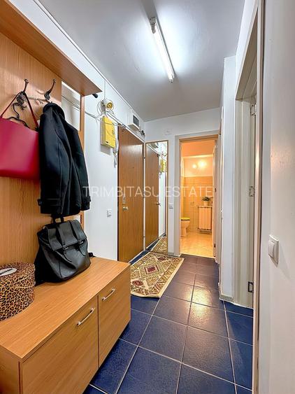 Sector 3 Calea Calarasilor Hyperion garsoniera Decomandata 38mp - 11