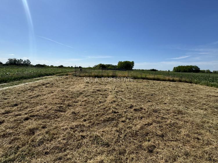 Teren intravilan 400 mp de vanzare in Sanpaul - 5