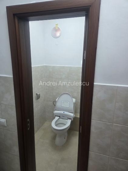 Spatiu 106 mp -ideal cabinete / birouri -compartimentat -- Calea Severinului  - 10