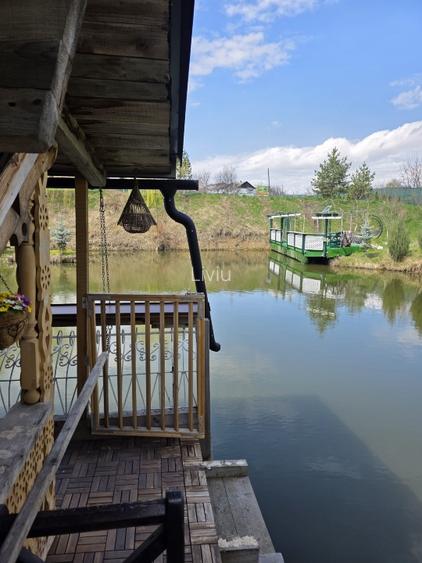 Vând teren cu iaz și livadă de nuci – Ilișești, aproape de Suceava - 12