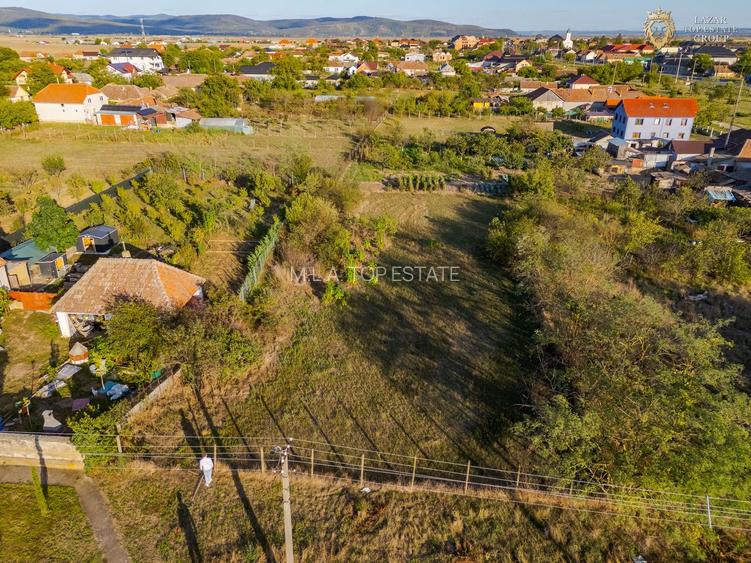 Teren Intravilan De Vanzare Sambateni - 15