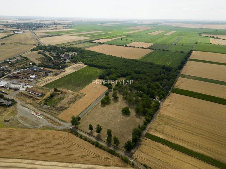 Teren intravilan Șofronea - 4