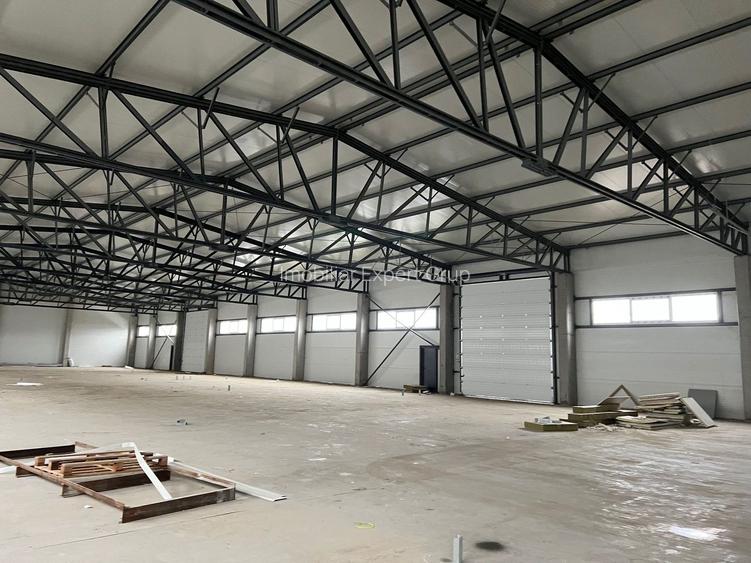 Spatiu depozitare si productie Chitila - 7