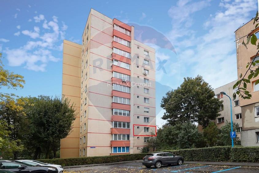 Apartament cu 2 camere de vânzare în zona Tractorul - 17