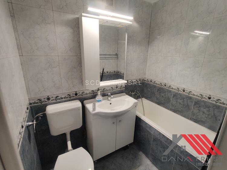 Semicemtral - Pe malul Begai, langa Nokia, - 10