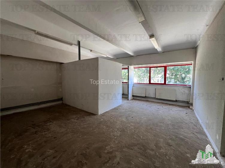De inchiriat spatii comerciale, hale si birouri - 16