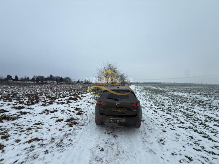 Teren agricol extravilan in Itesti de vanzare - 3