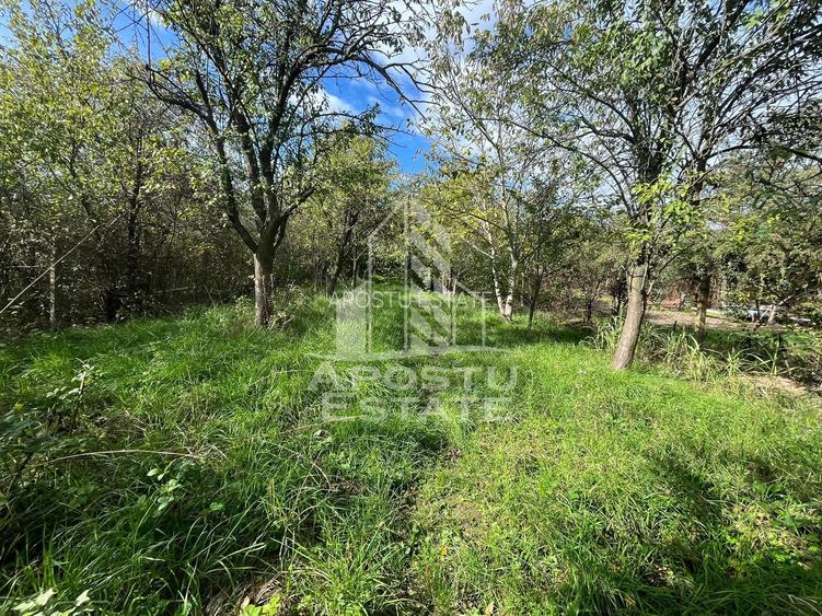 Casa cu 4 camere si teren de 2698 mp in zona Freidorf, Comision 0 - 10