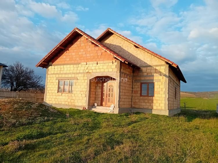 Casa noua, 130 mp, teren 5693 mp, la drum european, Bradesti - 4
