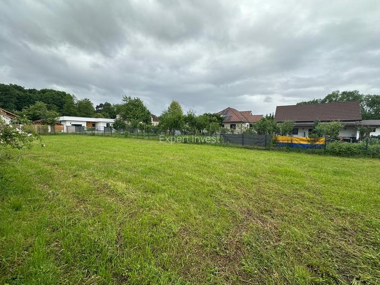 Teren intravilan de constructii 1.500 mp * Padurea Dumbrava Sibiu - 2