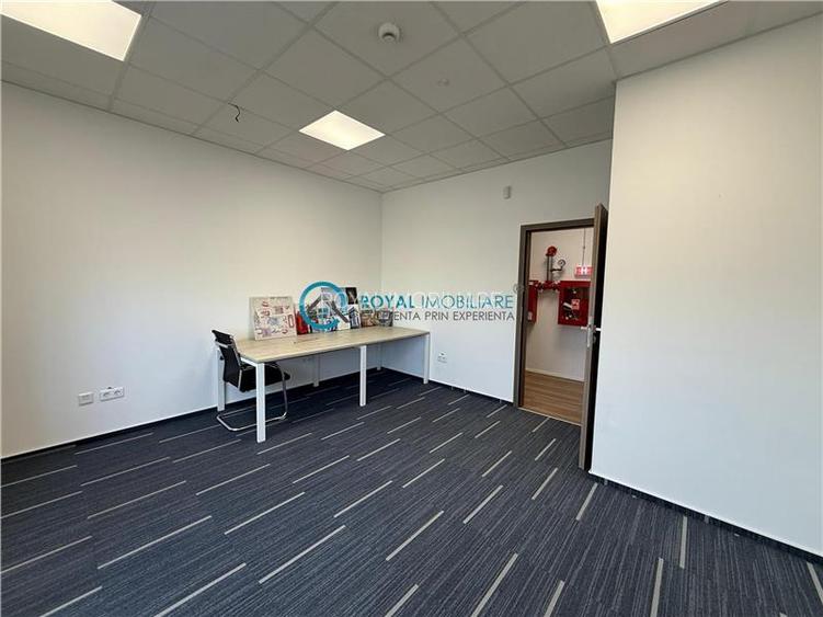 Royal Imobiliare-  Spatiu Industrial Zona Exterior Vest - 20