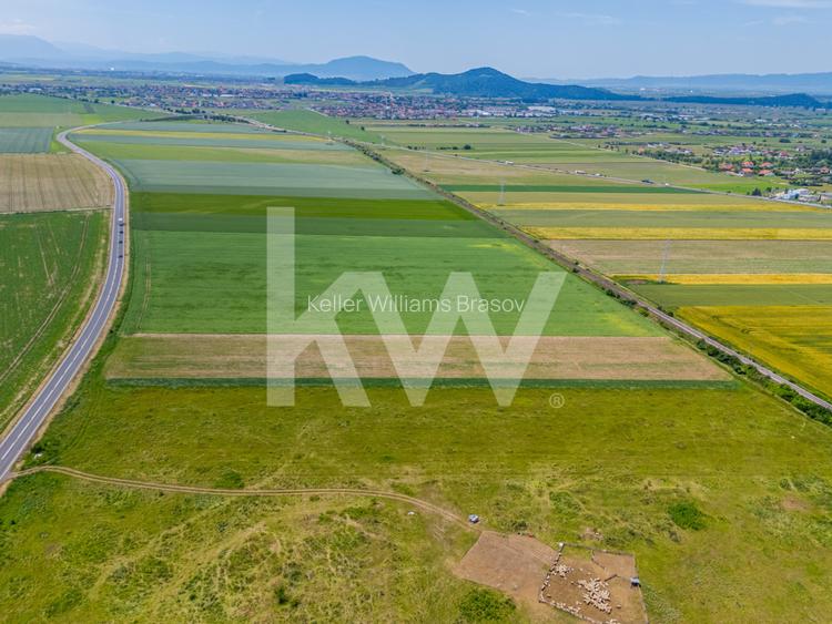 Teren de vanzare I 8 Euro/ mp I Deschidere la drum - Harman - 16