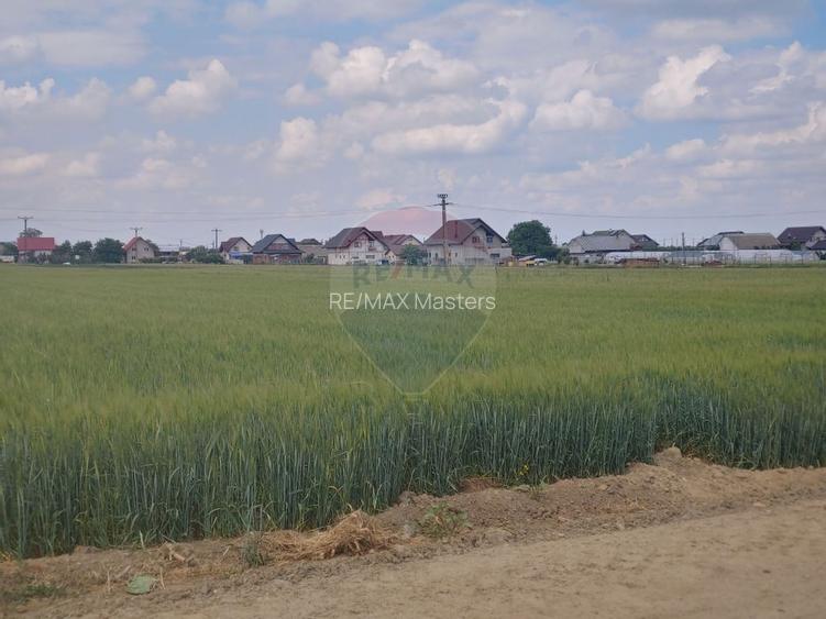 Teren intravilan 6,600mp Dumbraveni / Strada Principala spre Veresti - 12