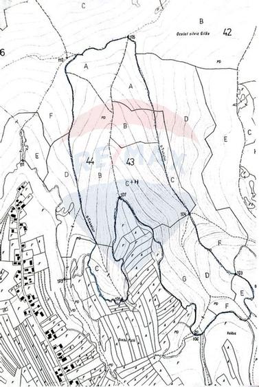 Padure 34 ha Capusu Mare - 4