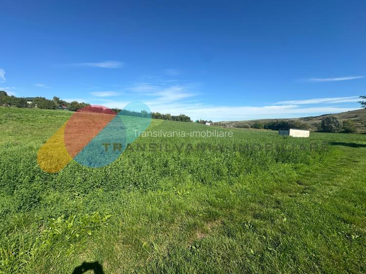 Teren intravilan 2550mp in Sopor - 2