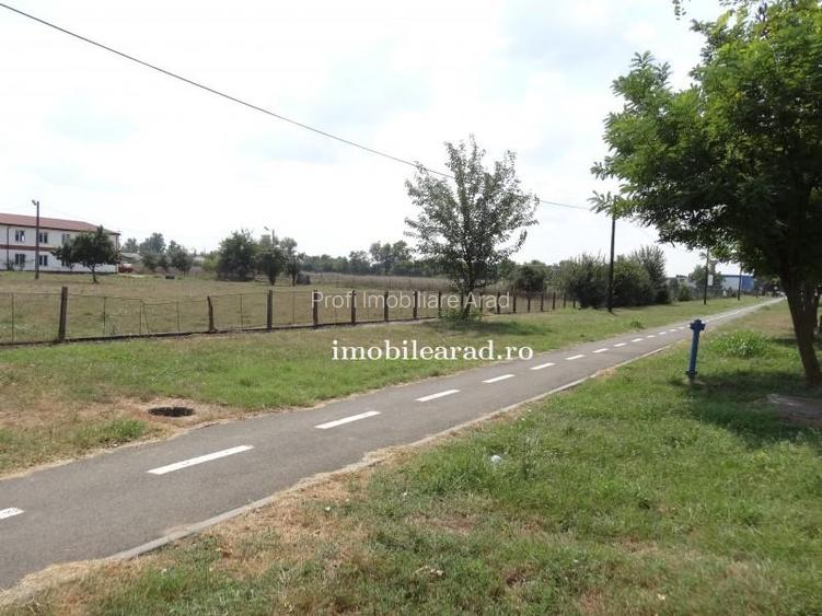 Teren 18.400 mp cu 4 hale P+E pe Artera principala vizavi de Metro-Momax - 11