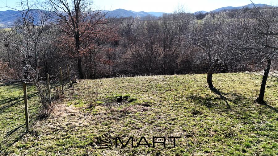 Teren intravilan 1000mp Tropinii Noi - 3