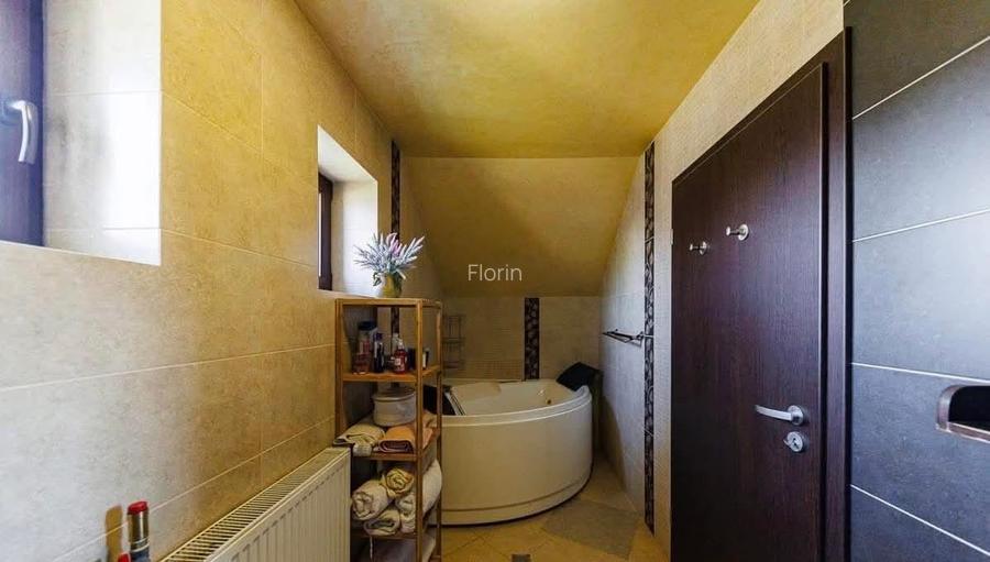 Casa de vanzare in Sag zona linistita, aproape de Timisoara - 8