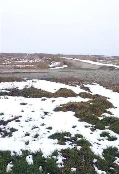 Teren agricol 100 ha| Comasat 100%| Categoria A1 - 3