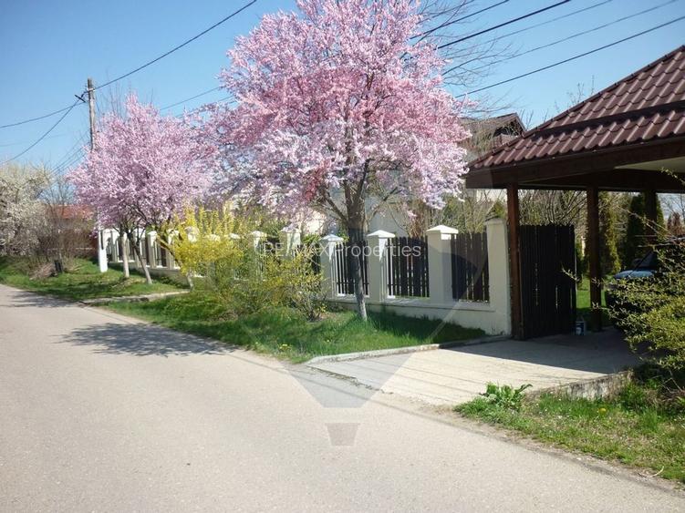 Casa de vacanta langa lacul Snagov / Teren 1922mp / Ciofliceni - 8