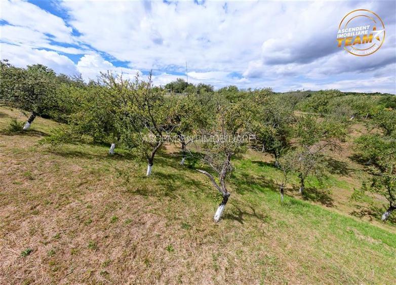 FILM! Confortabila ariere, 4.500 mp, arbori roditori, Sancraiu,Covasna - 3