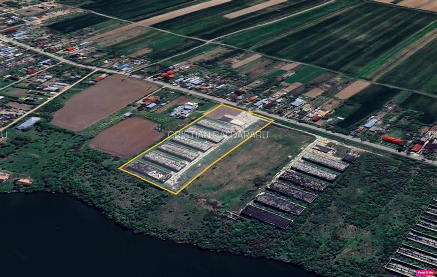 Vanzare depozit/hala/spatiu industrial Buftea -Crevedia - Butimanu - DN1A, Dambo - 4