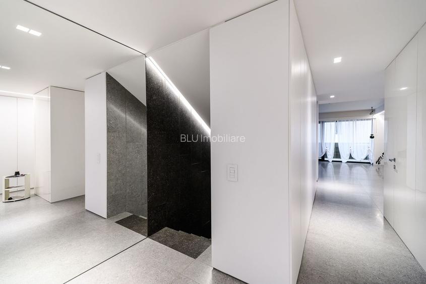 Duplex FINISAT 145MP Andrei Muresanu - 5