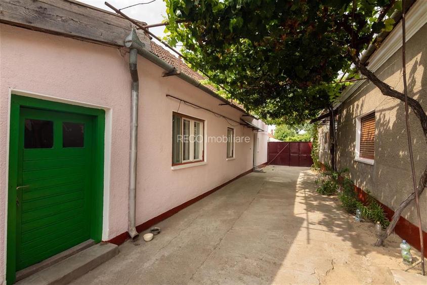 Teren mare cu 2 case si front la 2 strazi in Tamaseu - 40