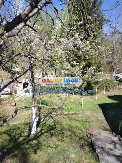 Vanzare vila   4 camere,,teren 730 mp zona Izvoarele,Prahova - 5