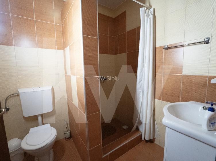 De vanzare – Imobil cu potential turistic si rezidential in Ocna Sibiului - 18