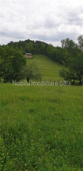 TEREN DE VANZARE 500O MP PUNCT CHETRIS CERDAC SLANIC MOLDOVA - 2