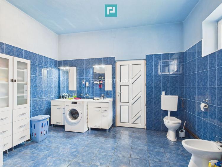 Casă individuală cu teren,  Andrei Șaguna -Traian - 21