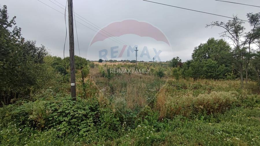 Teren 2.341 mp Uileacu de Munte front 26 ml la drum asfaltat - 13