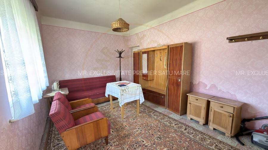 Casă 4 camere, Teren 1955 mp Str. Vezendiului Nr. 366 - Loc. Petrești, Satu Mare - 16