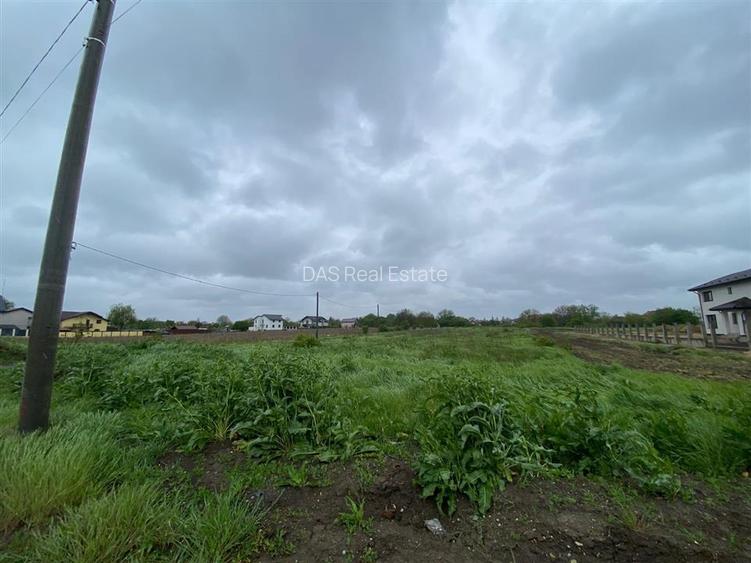 Teren intravilan | 3993 mp | Ciorogarla, Ilfov | Utilitati - 12