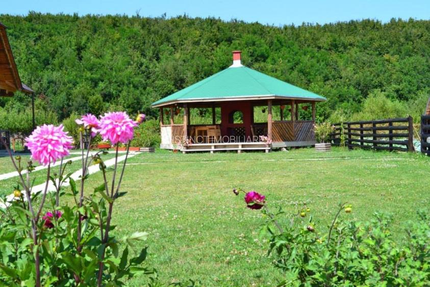 Pensiune agroturistica, pastravarie, 25 km de Brasov -proprietate speciala - 6