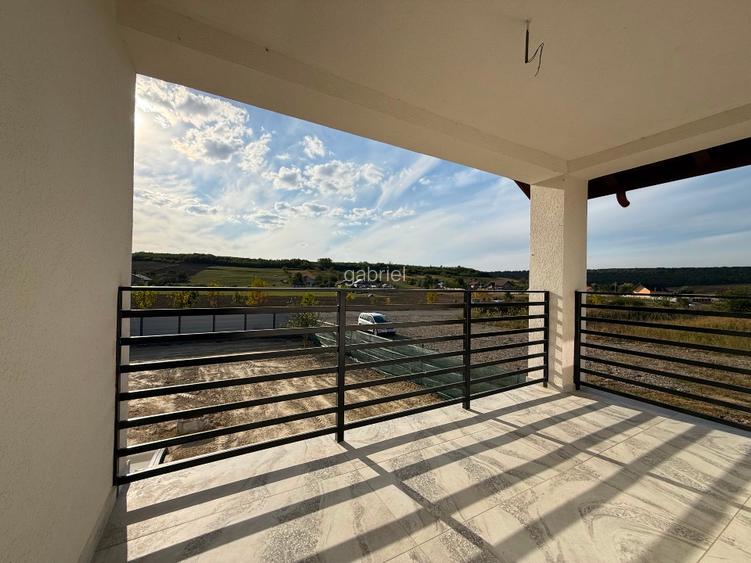 Proprietar-Casa în sat Dumbrava, Comuna Ciurea, Jud Iași, str. DJ 248D, nr. 385. - 4