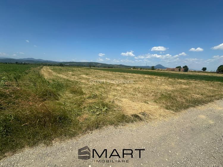 Teren 5000 mp Glajerie, zona Rasnov - 4