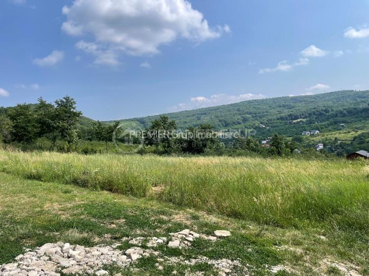 Teren extravilan, Tomesti, 633mp - 3