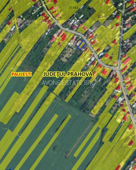 Teren intravilan Cocosesti-Paulesti - 3