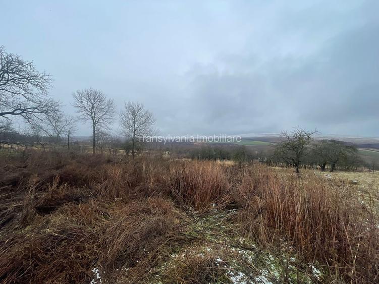 Casa Demolabila | Rediu | Teren 3278 mp | Posibiliate parcelare - 7