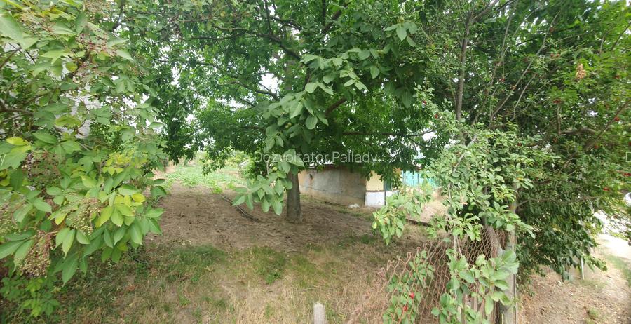 Teren 1100mp la 30 km de Bucuresti - 9