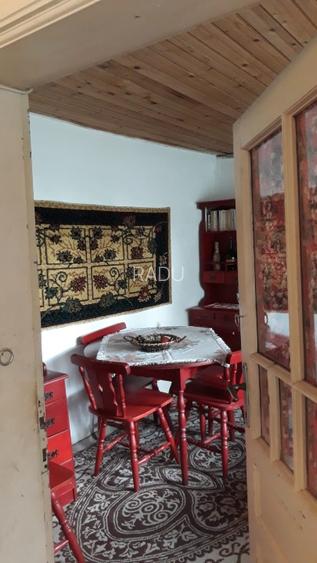 Casă locuibilă cu 1400 mp teren, vie pe rod și livadă – aproape DN3 – Ștefănești - 3