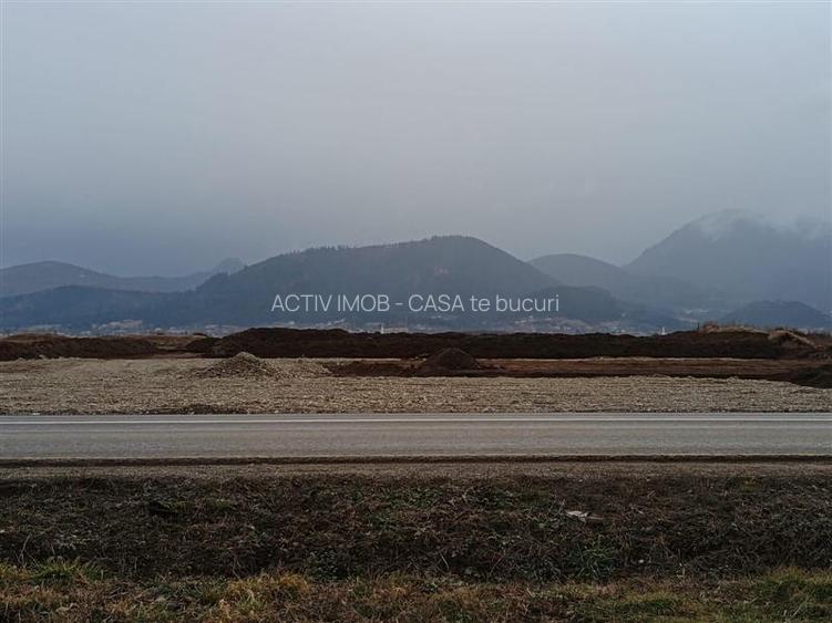 Teren 9000 mp Sacele Izvor, front 356 m la DJ 103A - 6